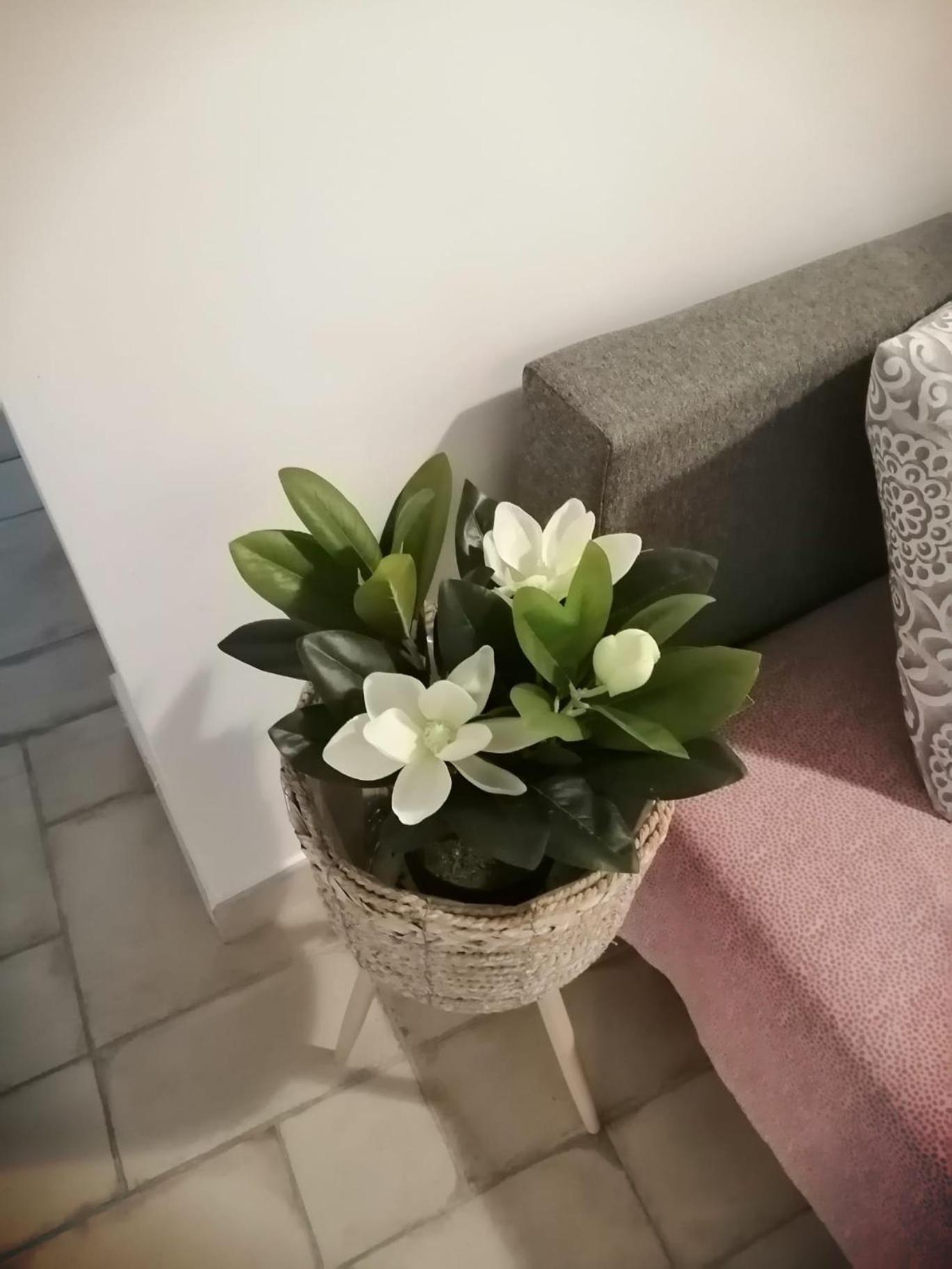 Il Vicoletto Sul Castello Appartement Napels Buitenkant foto